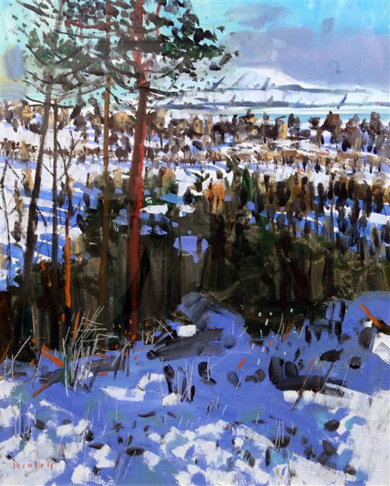 Mike Healey (b.1951) Arran Hills in Snow 24 x 20in.
